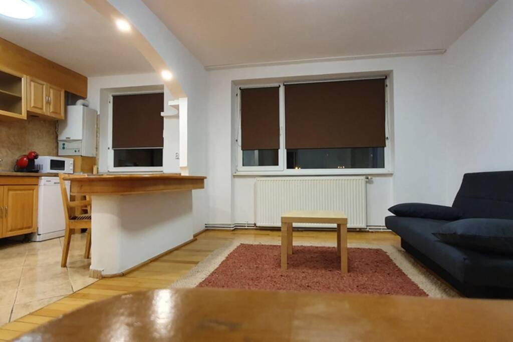 Titian'S Cozy Apartment Sibiu Bagian luar foto