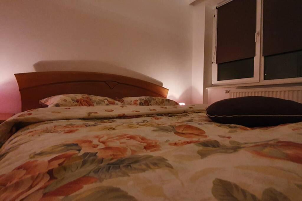Titian'S Cozy Apartment Sibiu Bagian luar foto