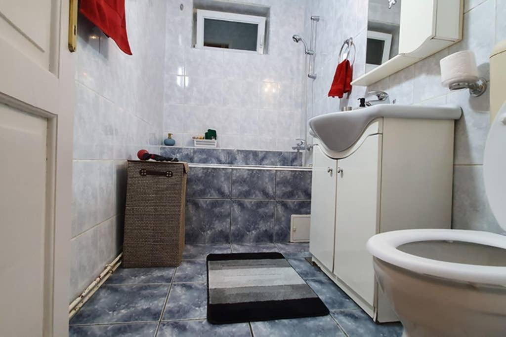 Titian'S Cozy Apartment Sibiu Bagian luar foto